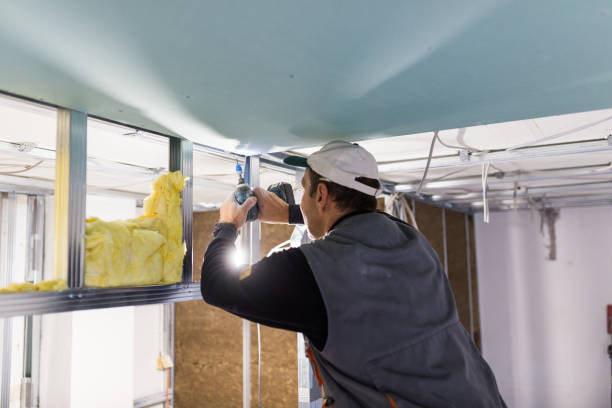 Best Attic Insulation Installation  in Bridgeport, TX